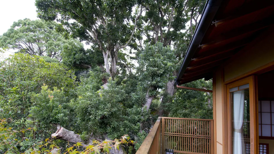 ABBA RESORTS IZU