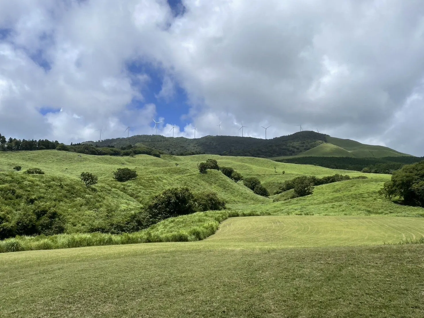 稲取細野高原