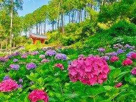 ホテル日航プリンセス京都