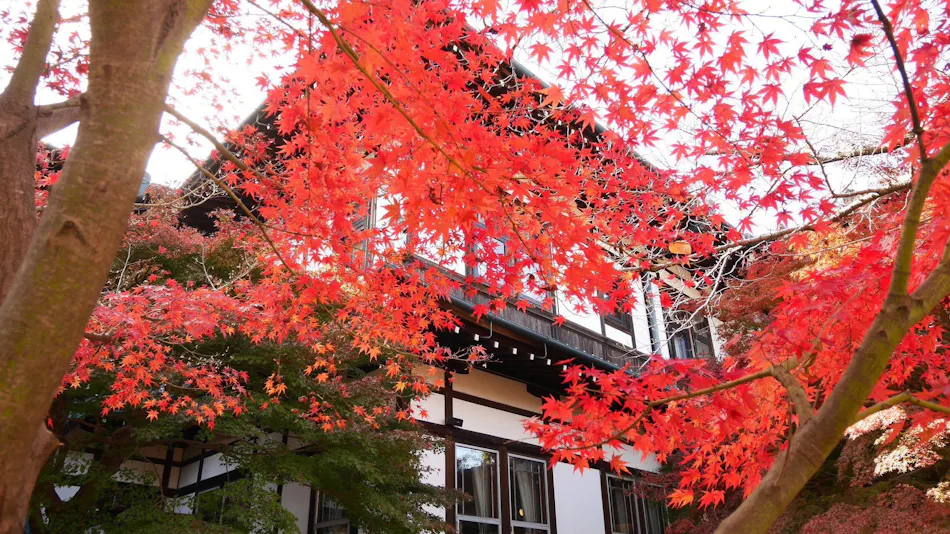 Nara Hotel
