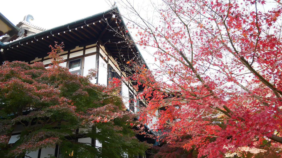 Nara Hotel