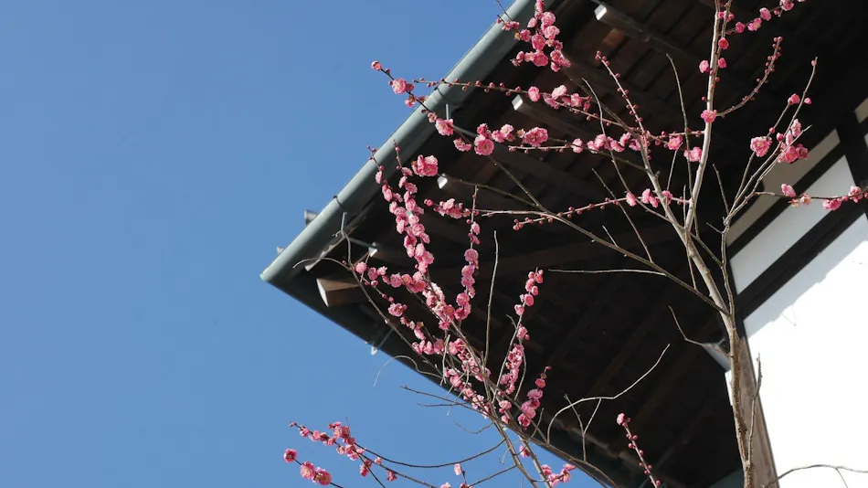 Nara Hotel