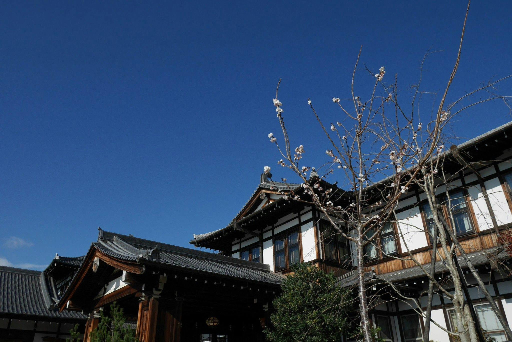 近畿（大阪以外）×由緒ある老舗宿 おすすめホテル・旅館 - 一休.com