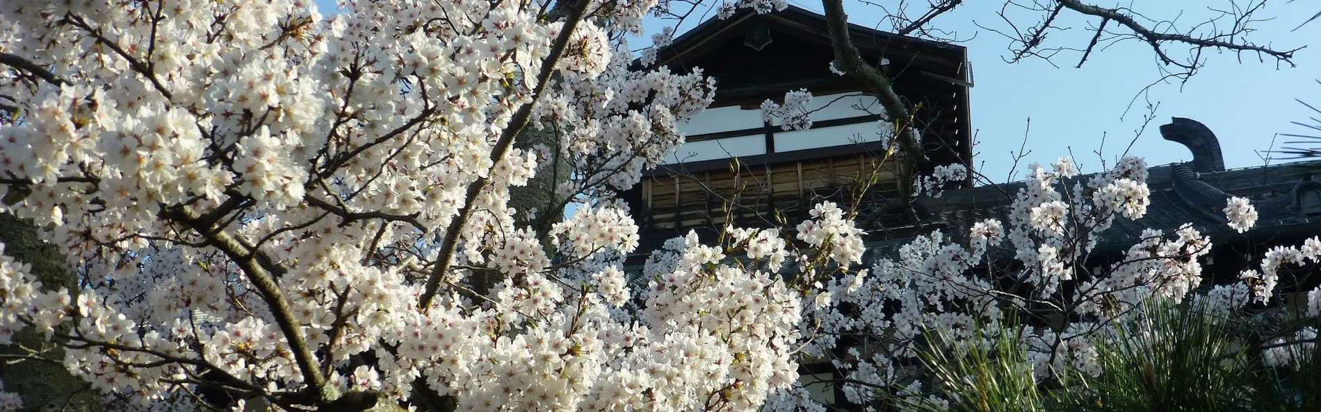 奈良ホテル
