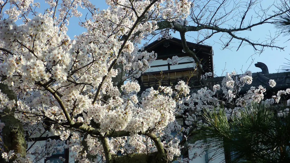 Nara Hotel