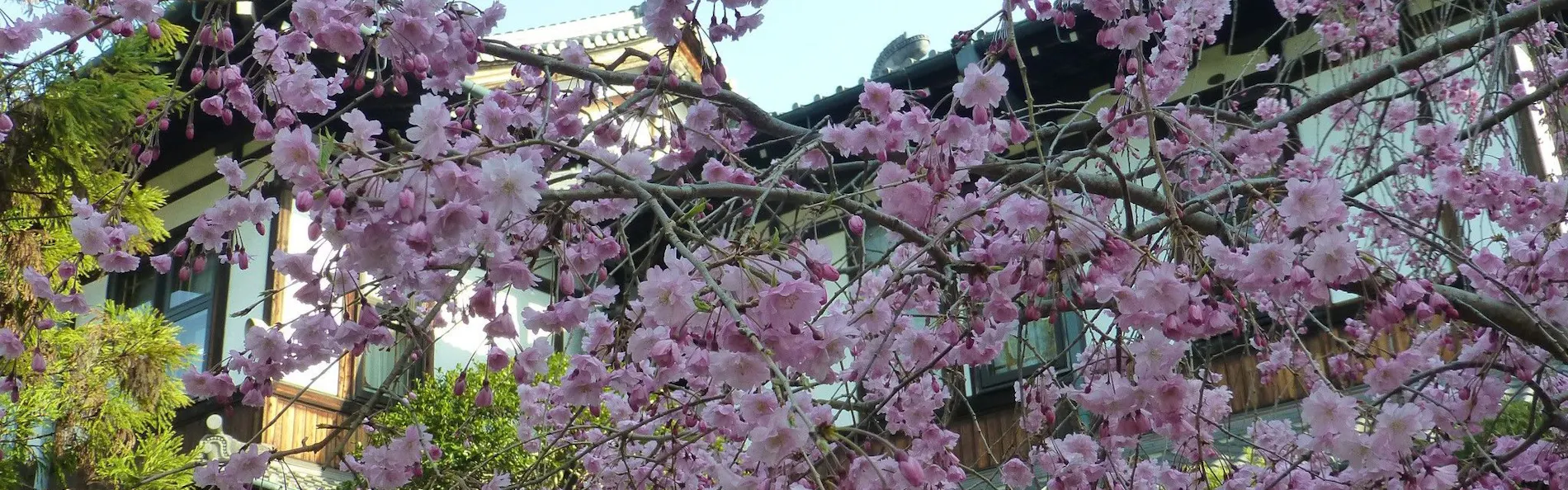奈良ホテル