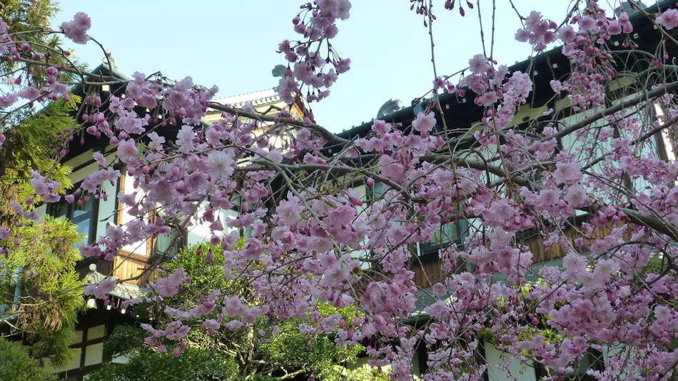 Nara Hotel
