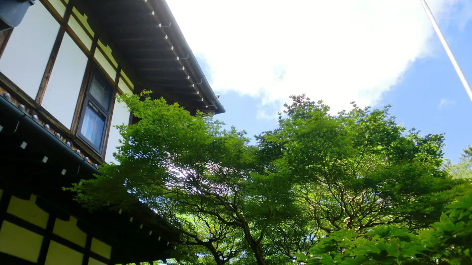 Nara Hotel