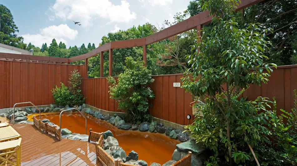 Art Hotel Narita