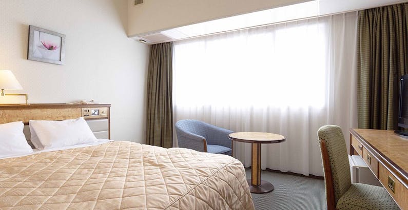 駐車場10日間無料 成田ビューホテル マイカープラン 素泊まり 2プラン 成田ビューホテル 一休 Com