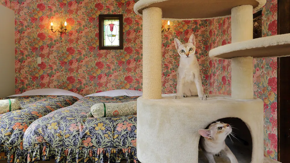 Izu Kogen Pet-Friendly Inn with Open-Air Baths in Every Room - Bettei Ishi no Ie