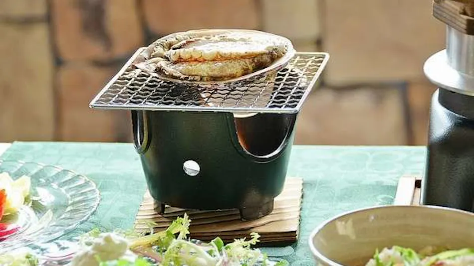 Izu Kogen Pet-Friendly Inn with Open-Air Baths in Every Room - Bettei Ishi no Ie