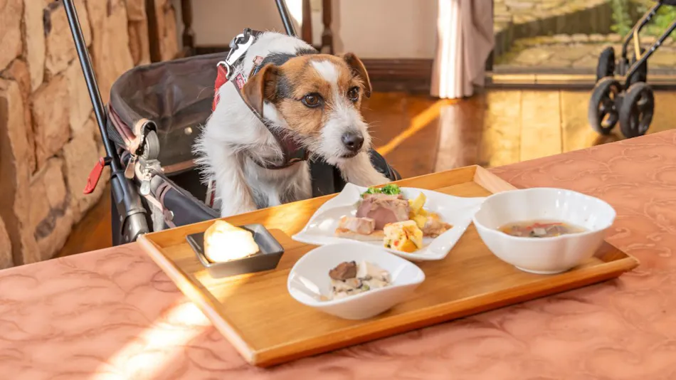 Izu Kogen Pet-Friendly Inn with Open-Air Baths in Every Room - Bettei Ishi no Ie
