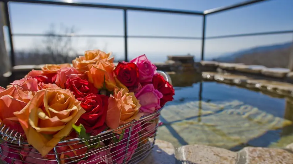 Izu Kogen Pet-Friendly Inn with Open-Air Baths in Every Room - Bettei Ishi no Ie