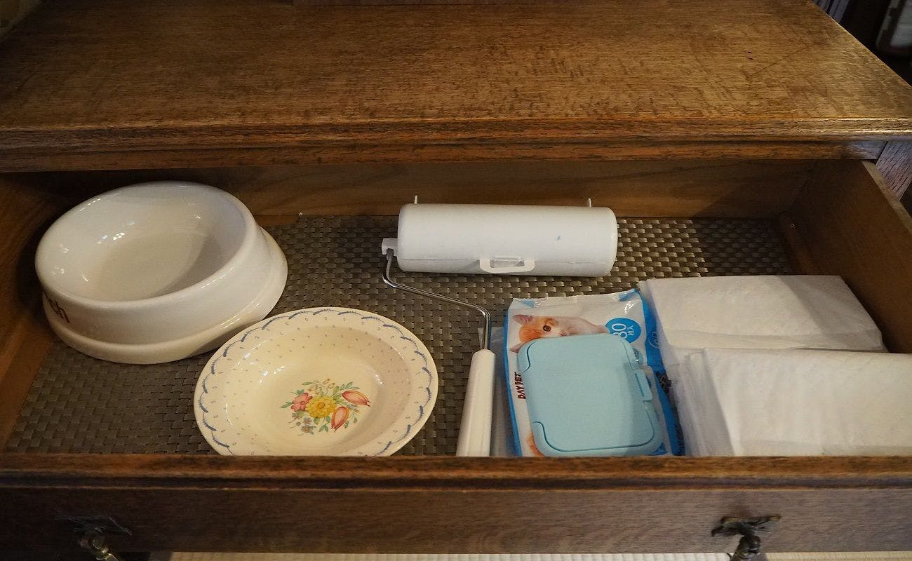 강아지 편의시설