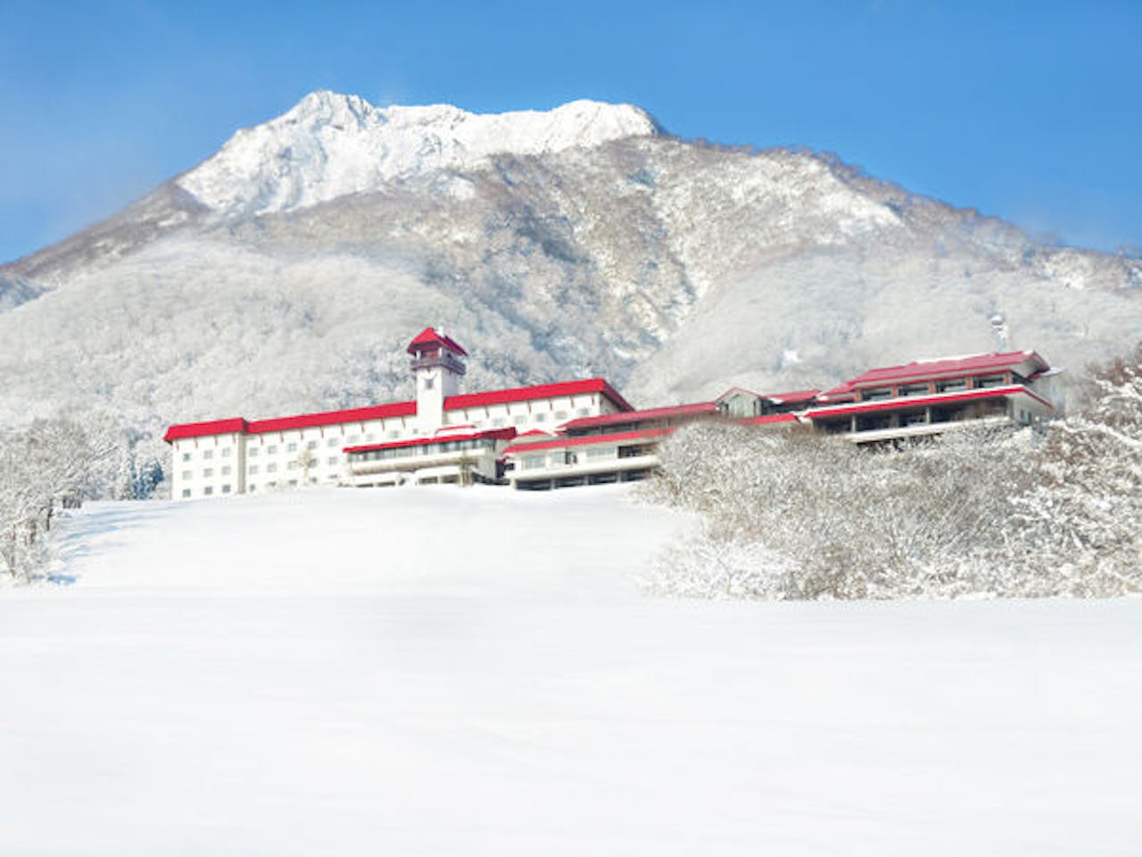 プロ独女のライフハックブログ 【映画好き独女の大人温泉宿】新潟県妙高市・赤倉観光ホテル~映画シャイニングのあのホテル感