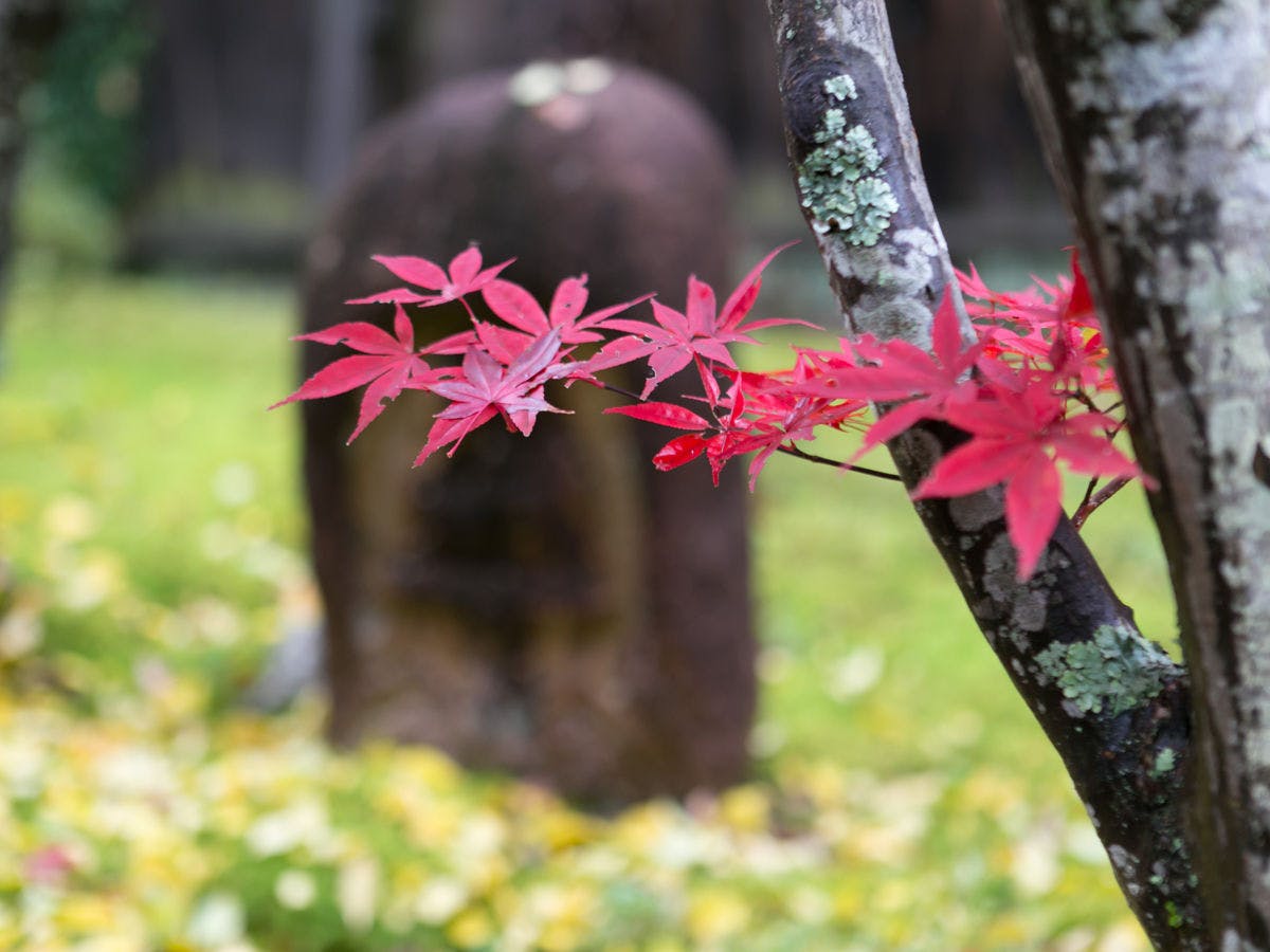 石苔亭いしだ