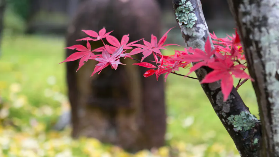 Sekitaitei Ishida