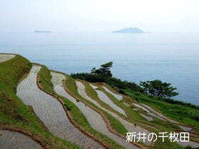 橋立ベイホテル