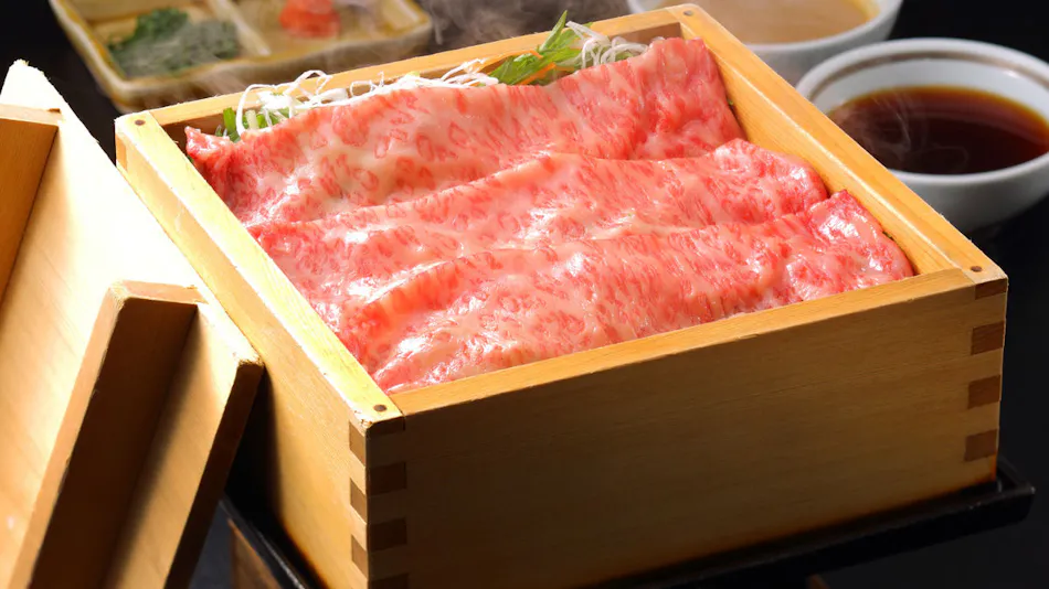 Nippon no Yado Furukama