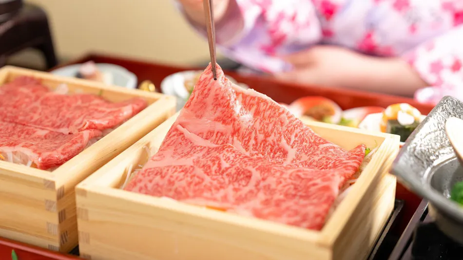 Nippon no Yado Furukama