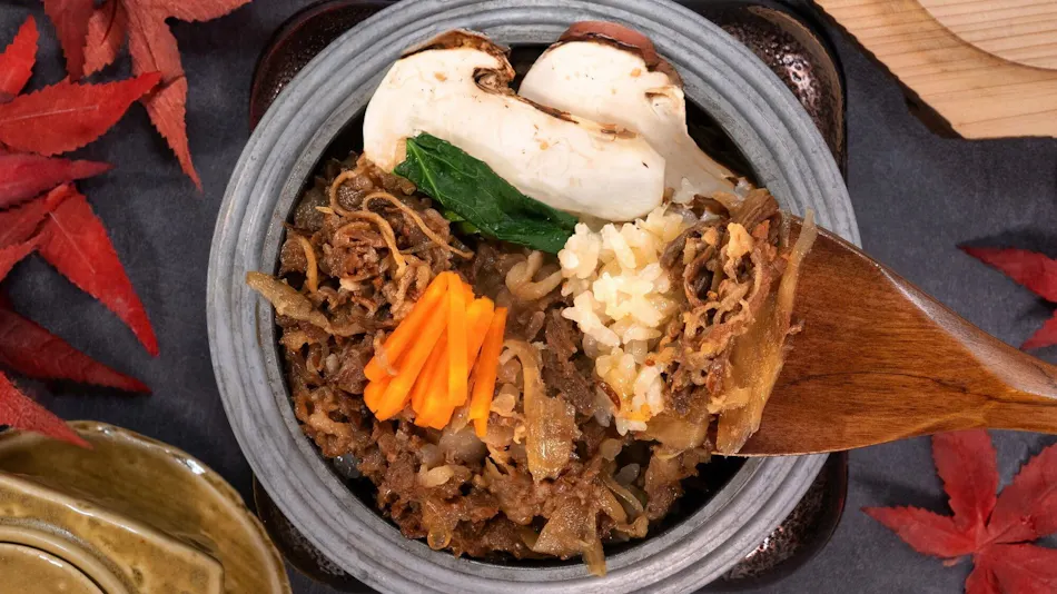 Nippon no Yado Furukama