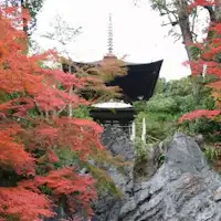 石山寺 紅葉