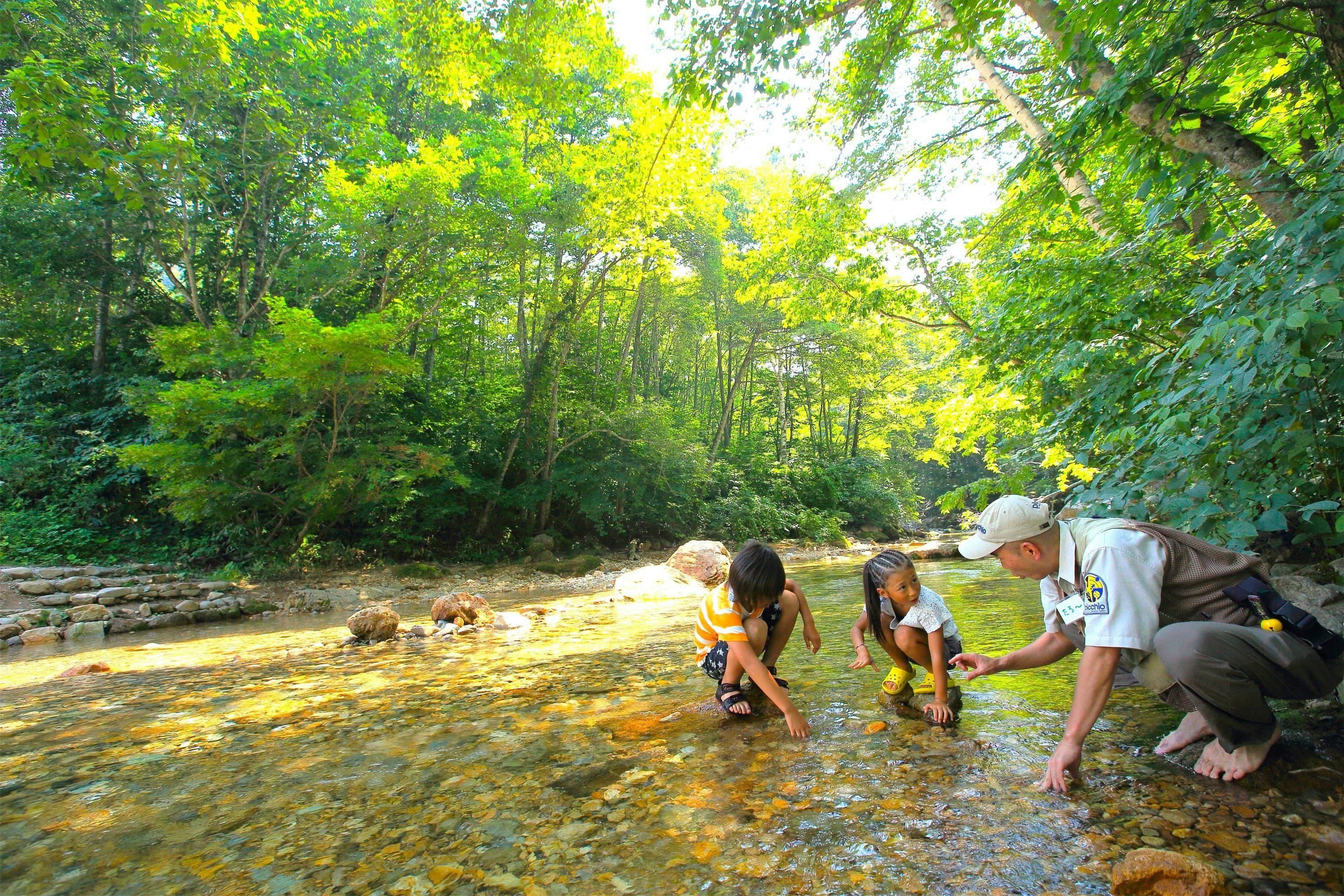 แม่น้ำในฤดูร้อนคือหีบสมบัติ เหล่าแมลงกำลังรอคุณอยู่