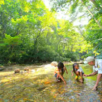 แม่น้ำในฤดูร้อนคือหีบสมบัติ เหล่าแมลงกำลังรอคุณอยู่