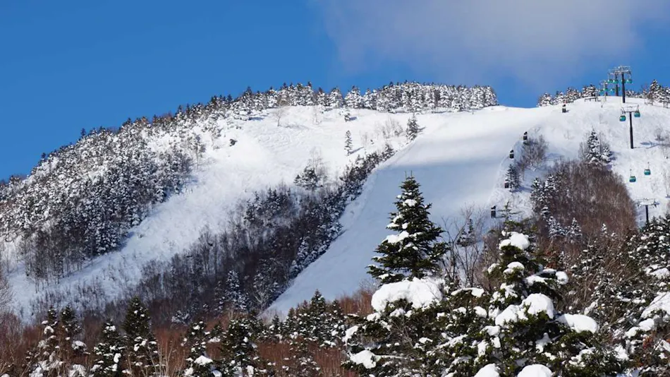 Shiga Kogen Prince Hotel