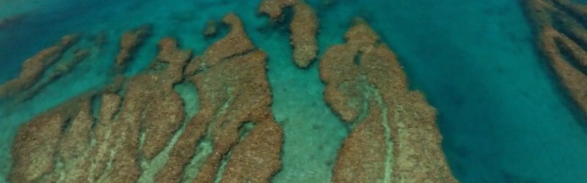 ジ・アッタテラス クラブタワーズ