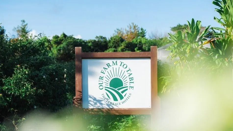 The Atta Terrace Club Towers