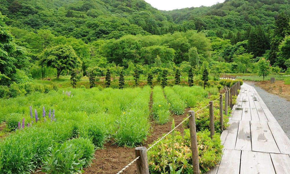 結びの宿　愛隣館