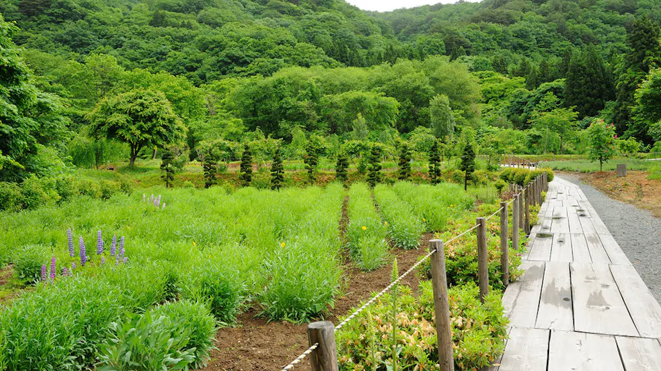 신나마리온천 무스비노야도 아이린관