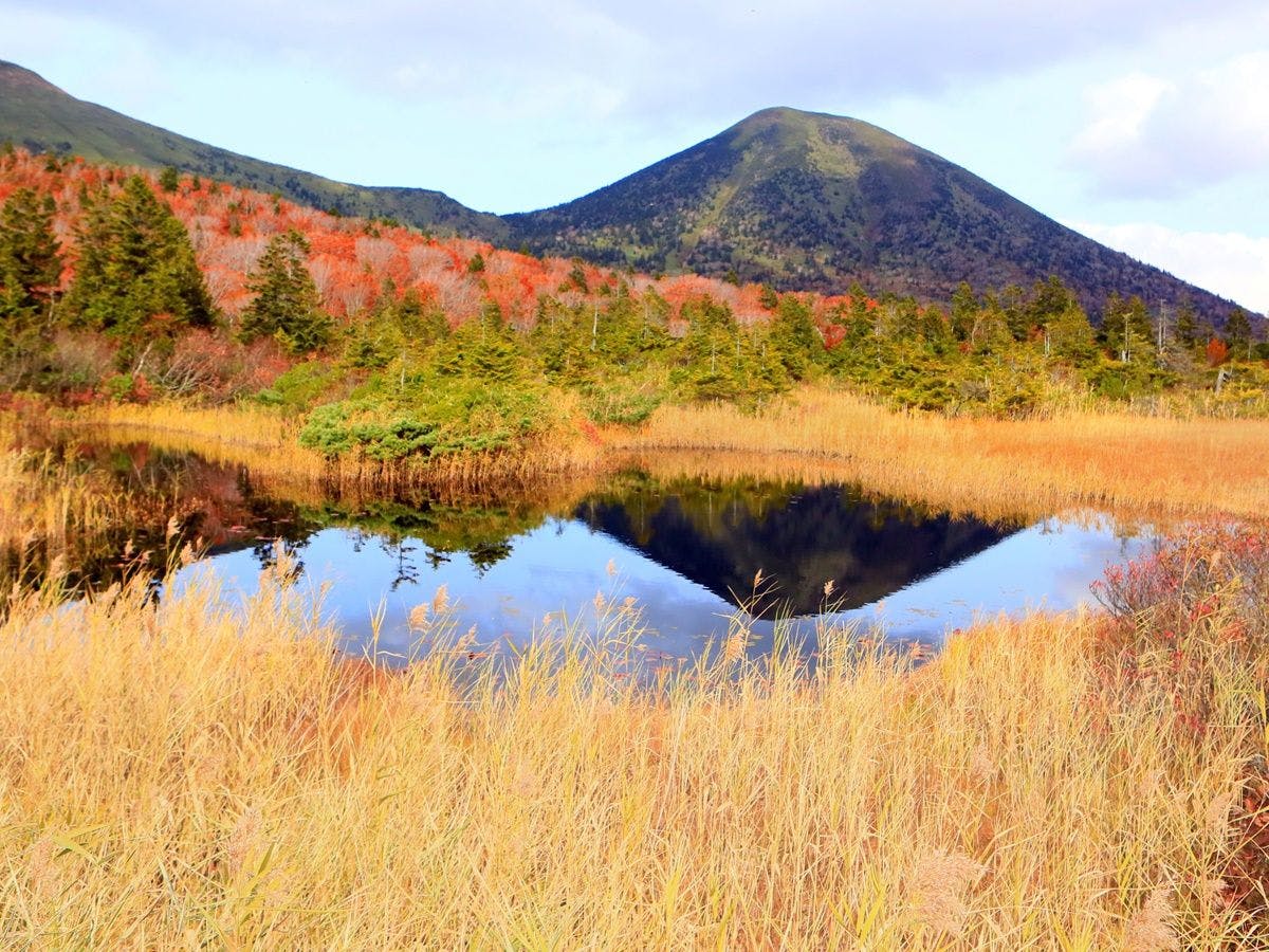 【八甲田山】この季節だけの風景に会いに来