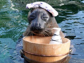 源泉１００％かけ流しの宿　強羅茶寮
