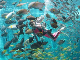 源泉１００％かけ流しの宿　強羅茶寮