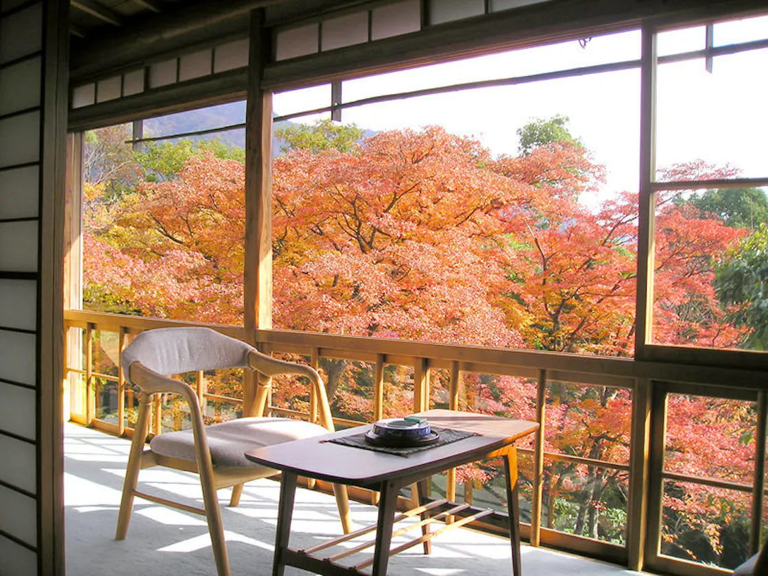 *本館「杉」紅葉