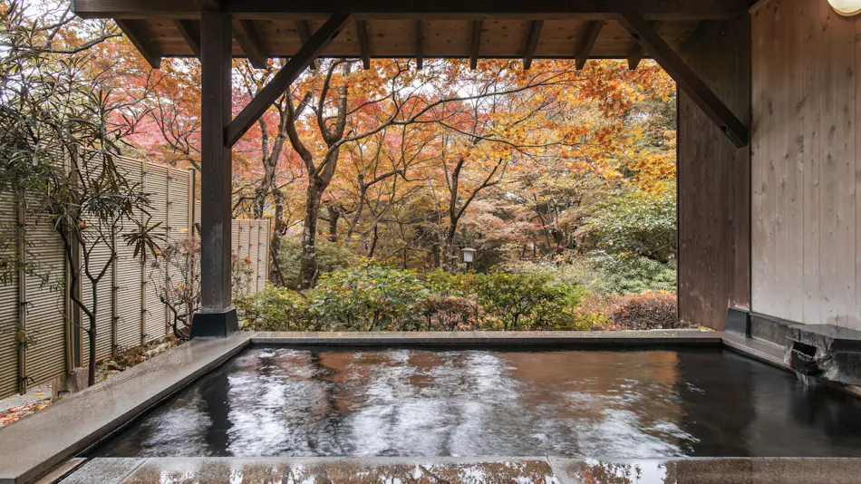 Gora Onsen Private Hot Spring Inn Gora Kansuirou