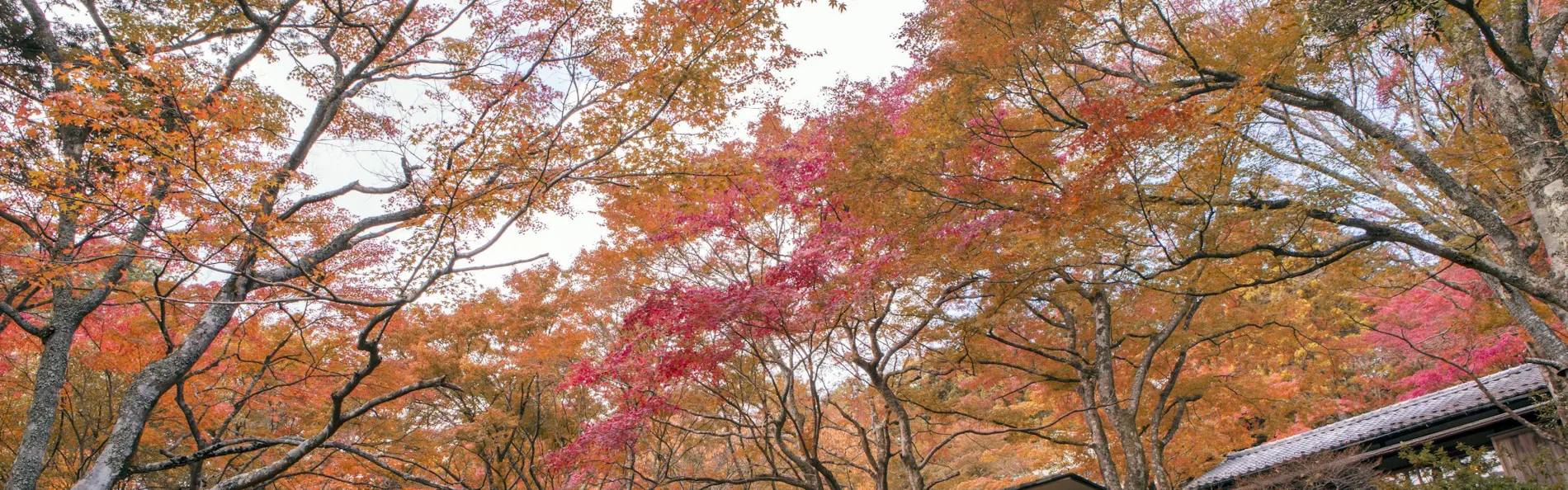 強羅温泉 自家源泉掛け流しの宿 強羅環翠楼