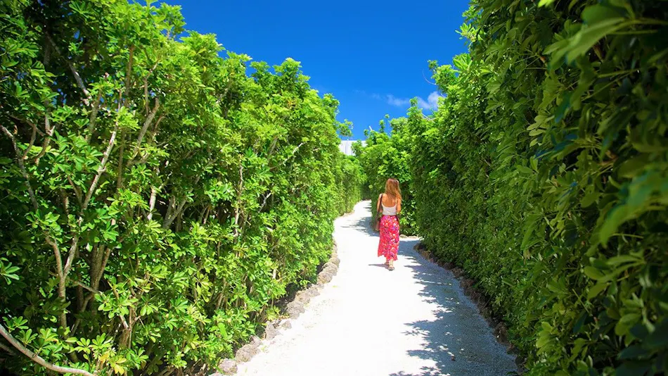 Villabu Resort