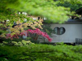 金沢・辰口温泉　やさしさの宿　まつさき