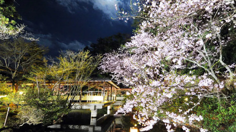 Kanazawa Tatsunokuchi Onsen Matsusaki