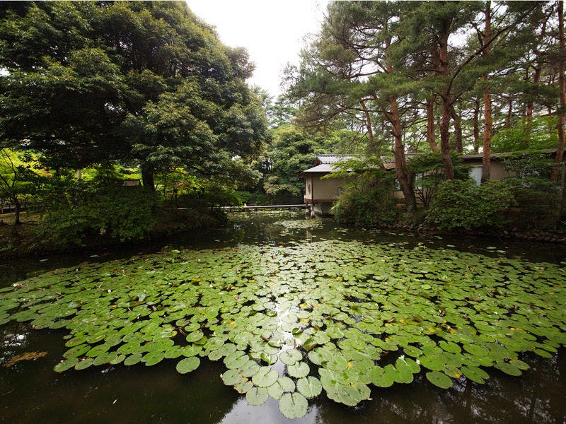 金沢辰口温泉　まつさき