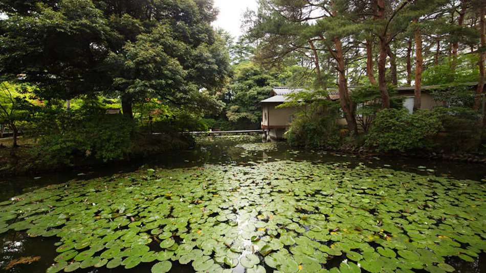 Kanazawa Tatsunokuchi Onsen Matsusaki