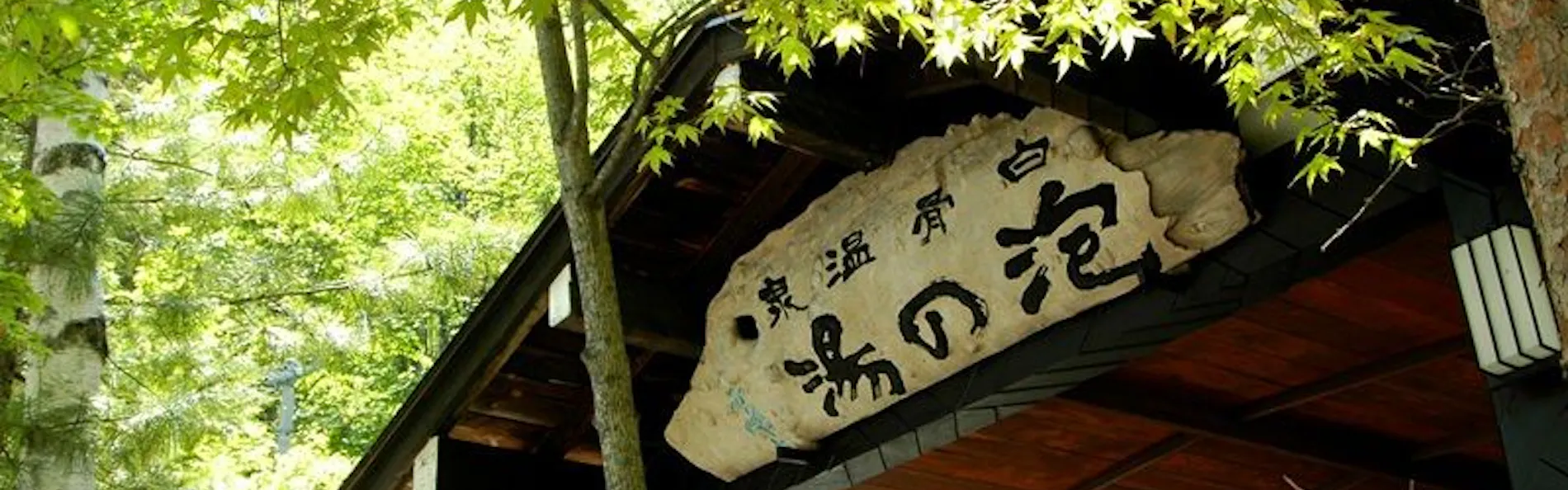 白骨の名湯 泡の湯