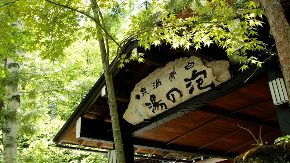 Awanoyu