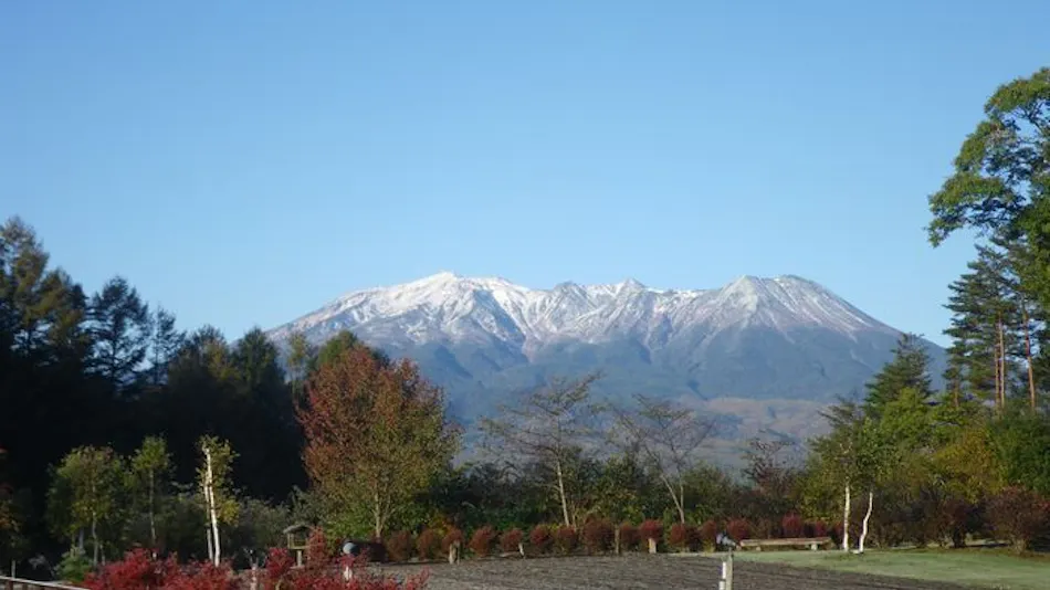 Tsutaya Kinosato Kazari