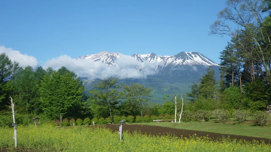 Tsutaya Kinosato Kazari
