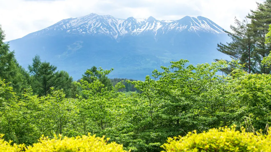 Tsutaya Kinosato Kazari